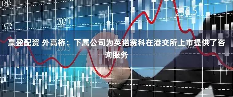赢盈配资 外高桥：下属公司为英诺赛科在港交所上市提供了咨询服务
