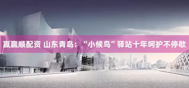 赢赢顺配资 山东青岛：“小候鸟”驿站十年呵护不停歇