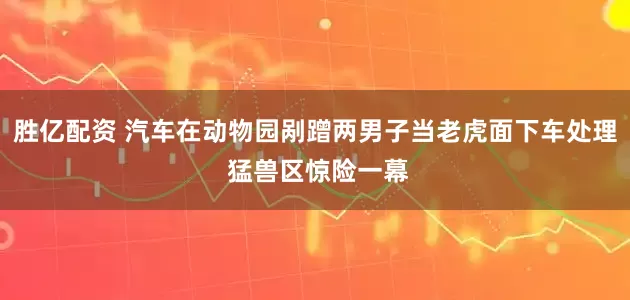 胜亿配资 汽车在动物园剐蹭两男子当老虎面下车处理 猛兽区惊险一幕